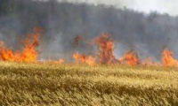 Opatrenia na zabezpečenie ochrany úrody pred požiarmi v roku 2022 1
