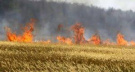 Opatrenia na zabezpečenie ochrany úrody pred požiarmi v roku 2022 1